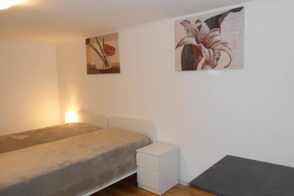 Zimmer In Direkter Naehe Zu Basel Grenzach-Wyhlen Zewnętrze zdjęcie